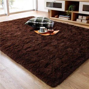 Fluffy Area Rugs, Super Soft Shaggy Rug Fuzzy Long Fur Carpets for Bedroom Decor